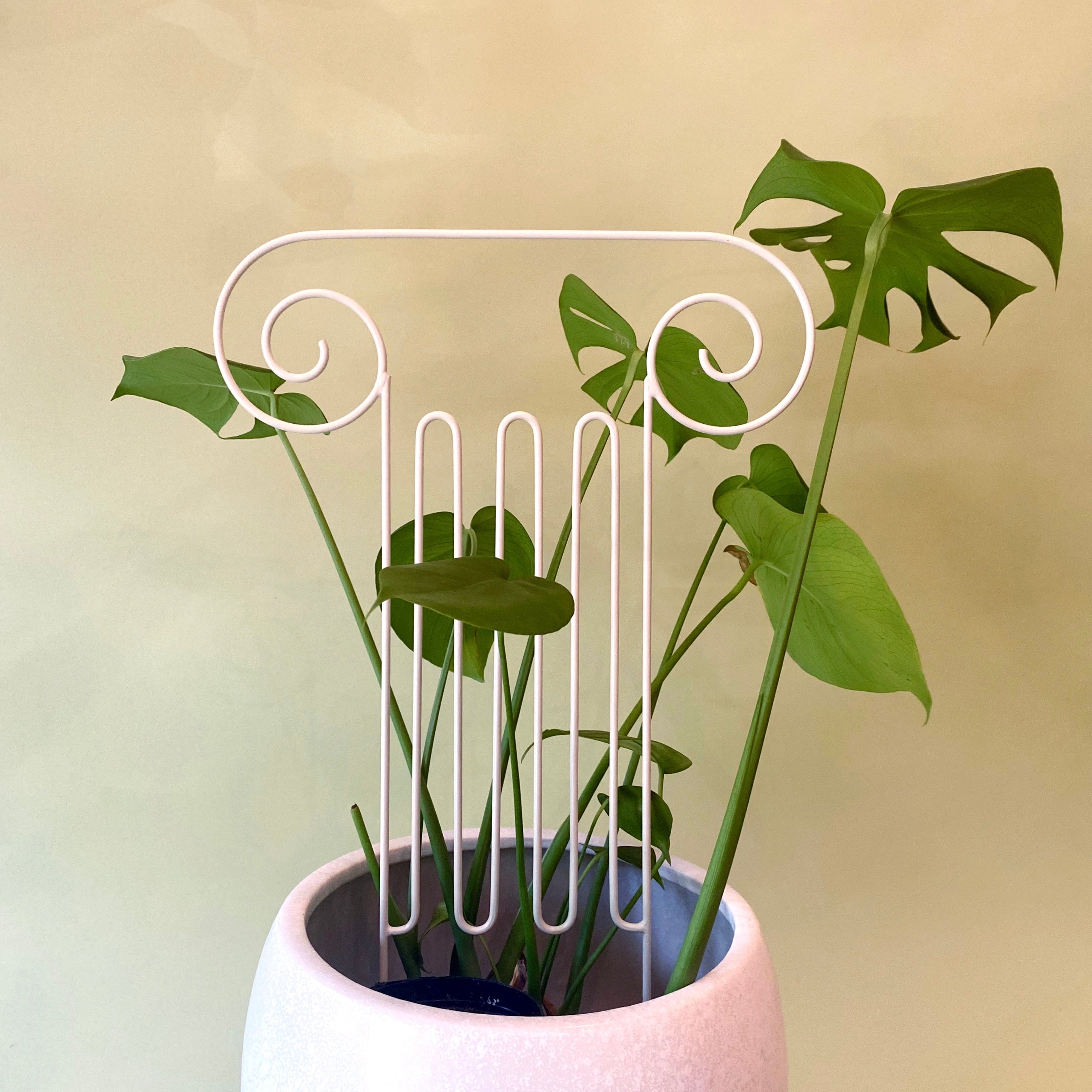house plant trellis Column Plant Trellis – Brave Floral